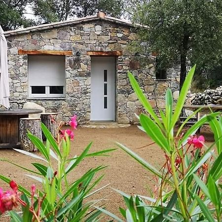 Hotel Domaine Rondini à Moltifao Extérieur photo